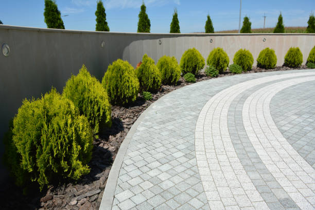 Best Local Driveway Pavers  in Saratoga, WY